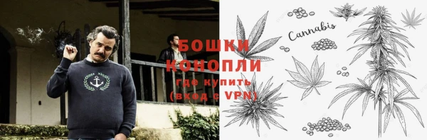 сатива Волосово