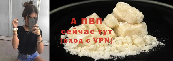 гидра Волоколамск