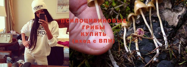 гидра Волоколамск